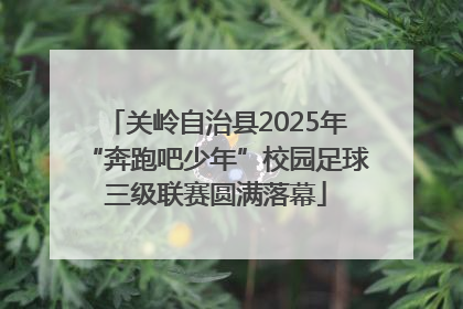 关岭自治县2025年“奔跑吧少年”校园足球三级联赛圆满落幕