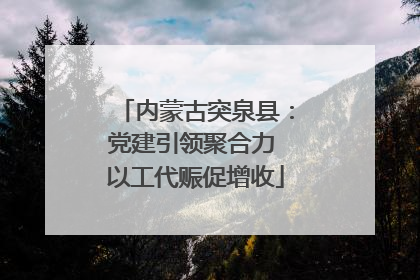 内蒙古突泉县：党建引领聚合力 以工代赈促增收