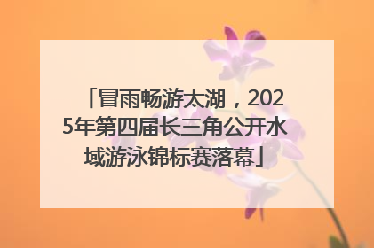 冒雨畅游太湖，2025年第四届长三角公开水域游泳锦标赛落幕