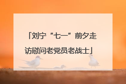 刘宁“七一”前夕走访慰问老党员老战士