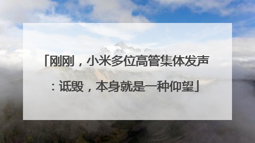 刚刚，小米多位高管集体发声：诋毁，本身就是一种仰望