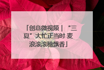 创意微视频｜“三夏”大忙正当时 麦浪滚滚穗飘香