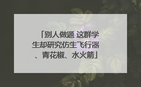 别人做题 这群学生却研究仿生飞行器、青花椒、水火箭
