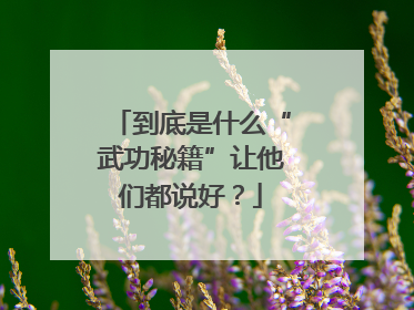 到底是什么“武功秘籍”让他们都说好？