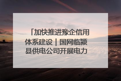 加快推进豫企信用体系建设｜国网临颍县供电公司开展电力行业信用企业现场咨询访谈工作
