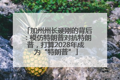 加州州长硬刚的背后：模仿特朗普对抗特朗普，打算2028年成为“特朗普”