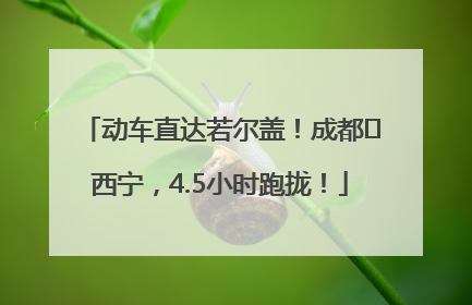 动车直达若尔盖！成都⇄西宁，4.5小时跑拢！