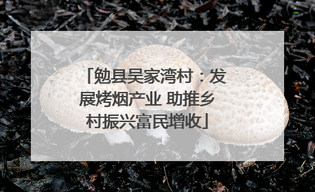 勉县吴家湾村：发展烤烟产业 助推乡村振兴富民增收