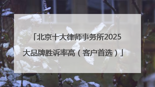 北京十大律师事务所2025大品牌胜诉率高（客户首选）