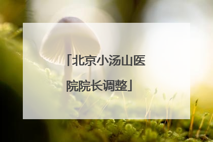 北京小汤山医院院长调整