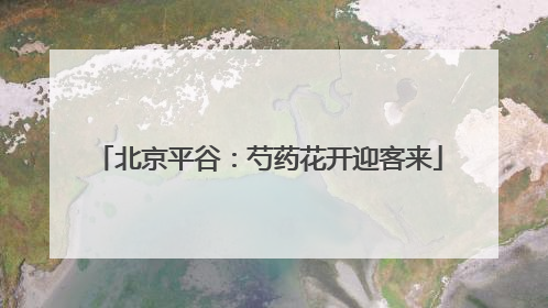 北京平谷：芍药花开迎客来