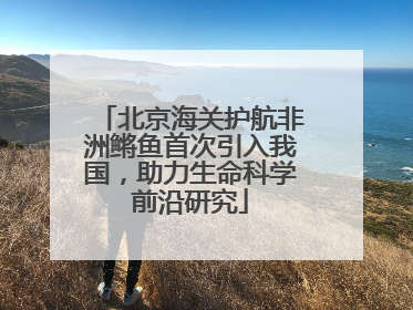 北京海关护航非洲鳉鱼首次引入我国，助力生命科学前沿研究