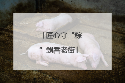 匠心守“粽”飘香老街