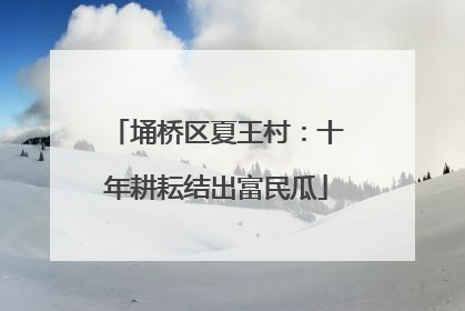 埇桥区夏王村：十年耕耘结出富民瓜