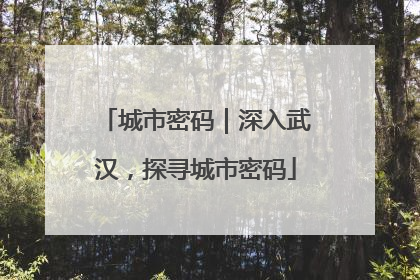 城市密码｜深入武汉，探寻城市密码