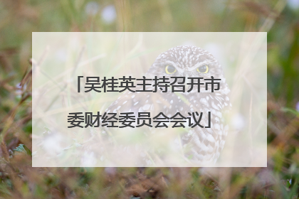吴桂英主持召开市委财经委员会会议