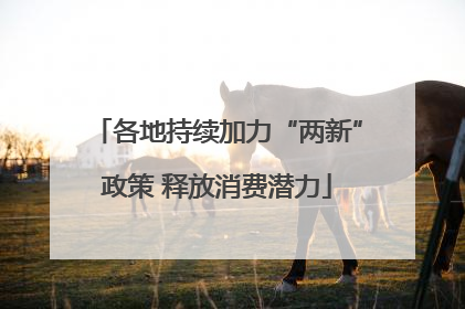 各地持续加力“两新”政策 释放消费潜力