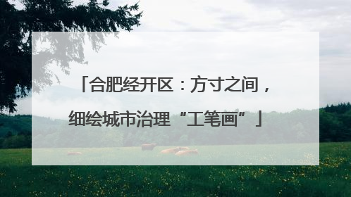 合肥经开区：方寸之间，细绘城市治理“工笔画”