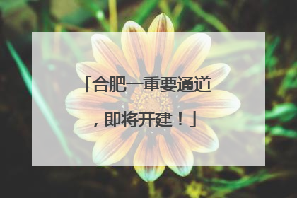 合肥一重要通道，即将开建！
