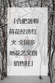合肥暑假荷花经济红火 全国多地花艺文创销售旺