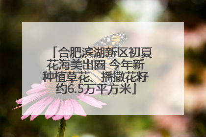 合肥滨湖新区初夏花海美出圈 今年新种植草花、播撒花籽约6.5万平方米
