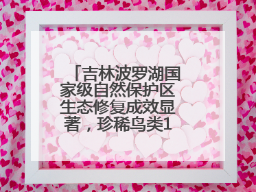 吉林波罗湖国家级自然保护区生态修复成效显著，珍稀鸟类10年增加5倍
