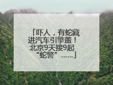 吓人，有蛇藏进汽车引擎盖！北京9天接9起“蛇警”……