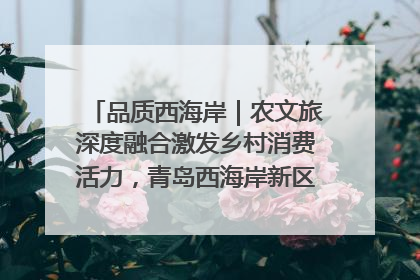 品质西海岸｜农文旅深度融合激发乡村消费活力，青岛西海岸新区的乡村振兴实践