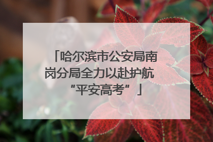 哈尔滨市公安局南岗分局全力以赴护航“平安高考”
