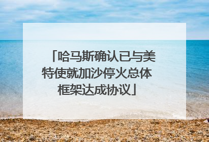 哈马斯确认已与美特使就加沙停火总体框架达成协议