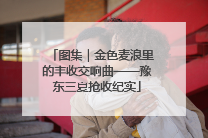 图集｜金色麦浪里的丰收交响曲——豫东三夏抢收纪实