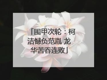 围甲次轮：柯洁憾负范胤 龙华苦吞连败