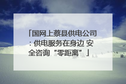 国网上蔡县供电公司：供电服务在身边 安全咨询“零距离”