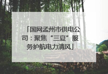 国网孟州市供电公司：聚焦“三夏”服务护航电力清风