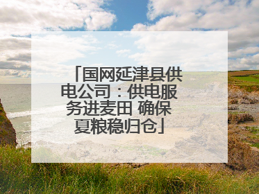 国网延津县供电公司：供电服务进麦田 确保夏粮稳归仓