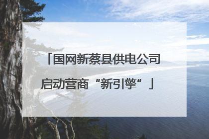 国网新蔡县供电公司启动营商“新引擎”