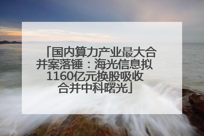 国内算力产业最大合并案落锤：海光信息拟1160亿元换股吸收合并中科曙光