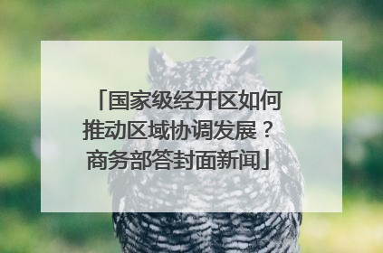 国家级经开区如何推动区域协调发展？商务部答封面新闻