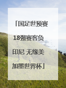 国足世预赛18强赛客负印尼 无缘美加墨世界杯