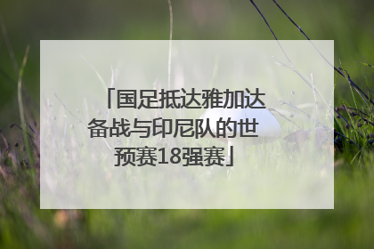 国足抵达雅加达备战与印尼队的世预赛18强赛