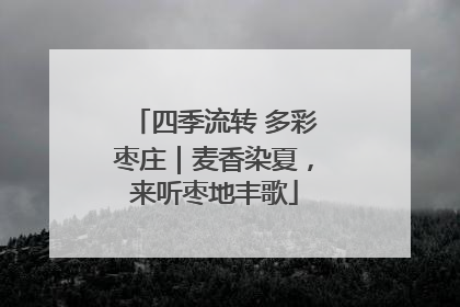 四季流转 多彩枣庄｜麦香染夏，来听枣地丰歌