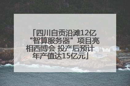 四川自贡沿滩12亿“智算服务器”项目亮相西博会 投产后预计年产值达15亿元