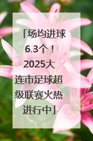 场均进球6.3个！2025大连市足球超级联赛火热进行中