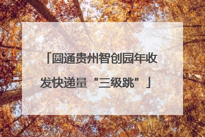 圆通贵州智创园年收发快递量“三级跳”