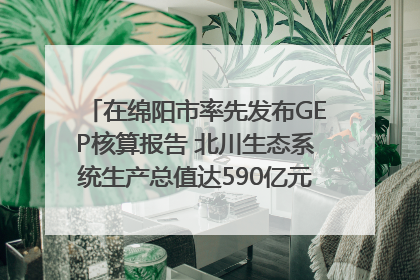 在绵阳市率先发布GEP核算报告 北川生态系统生产总值达590亿元｜新闻发布最前线