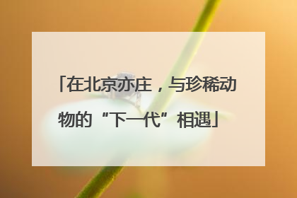 在北京亦庄，与珍稀动物的“下一代”相遇