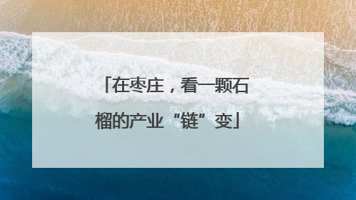 在枣庄，看一颗石榴的产业“链”变