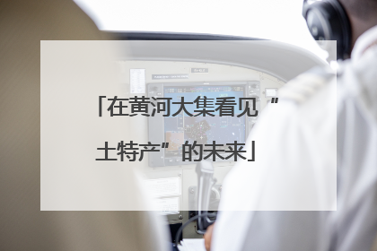 在黄河大集看见“土特产”的未来