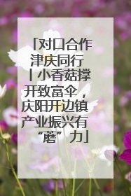对口合作 津庆同行丨小香菇撑开致富伞，庆阳开边镇产业振兴有“蘑”力