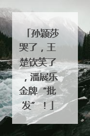 孙颖莎哭了，王楚钦笑了，潘展乐金牌“批发”！